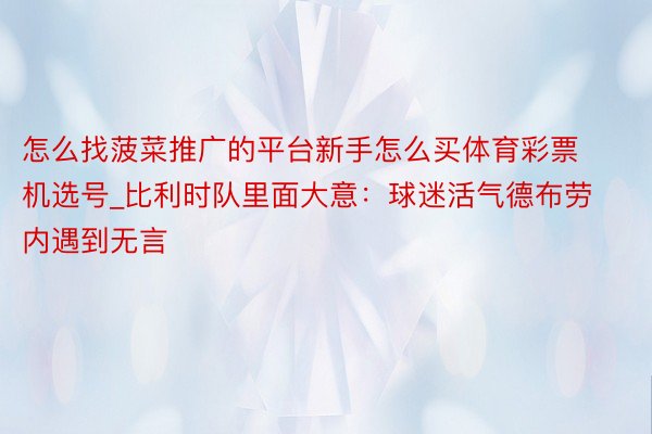 怎么找菠菜推广的平台新手怎么买体育彩票机选号_比利时队里面大意：球迷活气德布劳内遇到无言